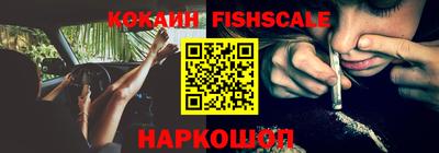 прущие грибы Краснознаменск
