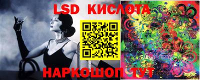 прущие грибы Краснознаменск