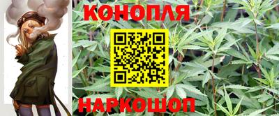 мяу мяу мука Краснодар