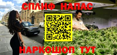 прущие грибы Краснознаменск