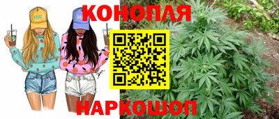 прущие грибы Краснознаменск