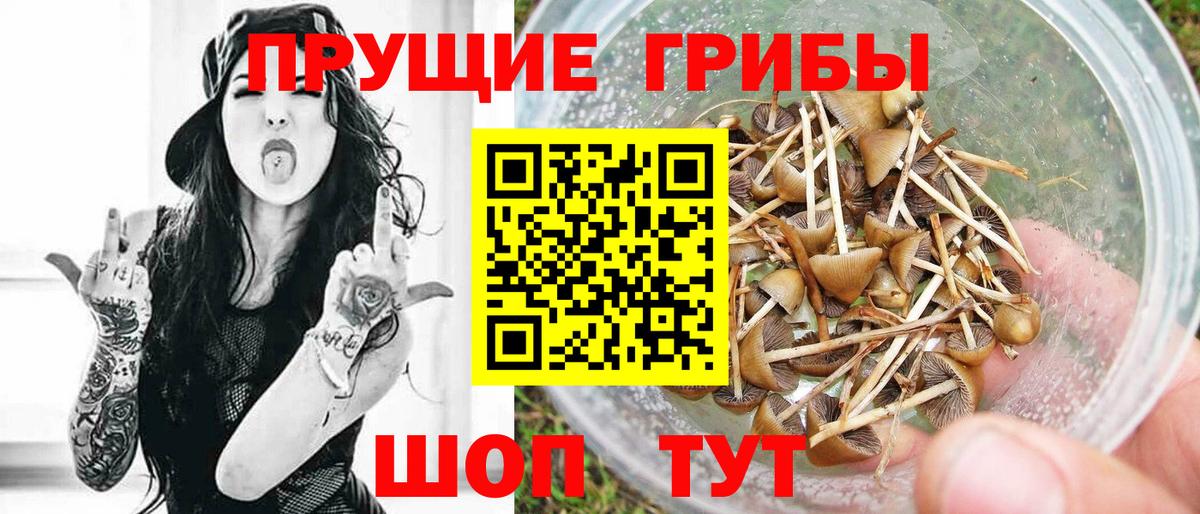 Псилоцибиновые грибы Magic Shrooms Конаково