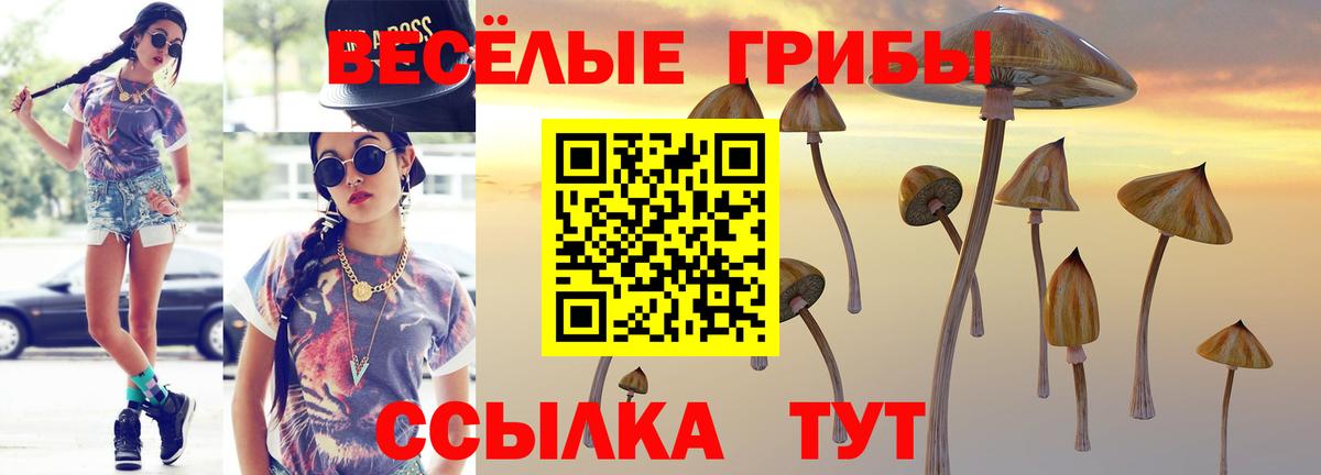 Конаково  Галлюциногенные грибы MAGIC MUSHROOMS  Вход с VPN  Псилоцибиновые грибы мицелий 
